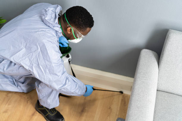 Best Indoor Pest Control  in Elgin, IL